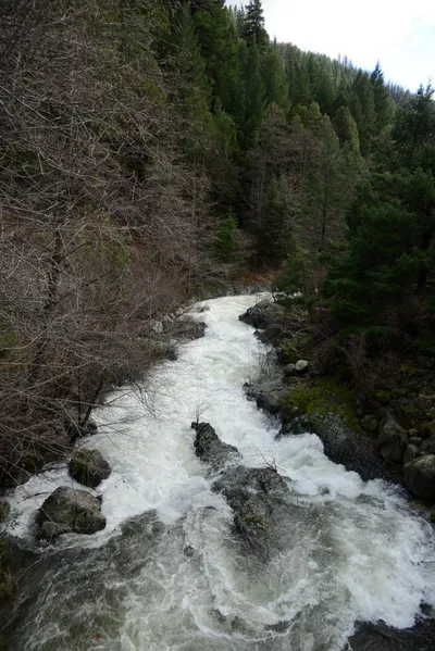 DSC_0885 (Large).JPG